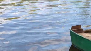 РЫБАЛКА ПАХРА, ОКУНЬ ПРËТ.