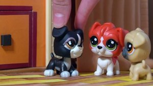 LPS: ШКОЛЬНЫЕ ХУЛИГАНЫ / ИСТОРИИ КЕЙТ №1