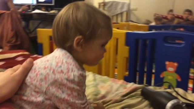 Реакция гепарда смотреть онлайн