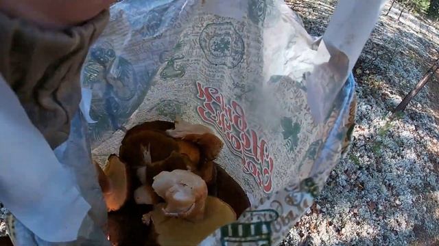 Охота и рыбалка в Парабели 1 часть Отрывок 2. смотреть онлайн