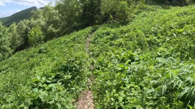 Эндуро прохват через Тхач  на Восточный Ачешбок/ 100% ENDURO ADYGEA