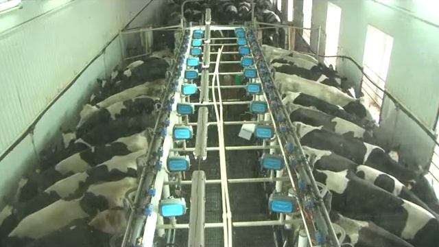 Об акции к Всемирному дню молока 28.05.2014 года смотреть онлайн