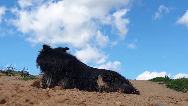 БЛАГОДАРНОСТЬ ЗА ПОДДЕРЖКУ. Сентябрь - ноябрь 2022
