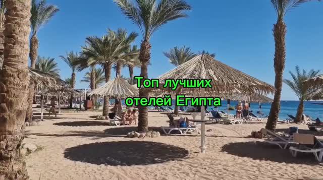 ТОП ЛУЧШИХ ОТЕЛЕЙ ЕГИПТА #путешествие #египет #отпуск #курорт #отдых #отели #отелиегипта смотреть онлайн