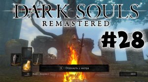 Самое важное правила в темных душах Dark Souls Remastered Полное прохождение за ловкача #28