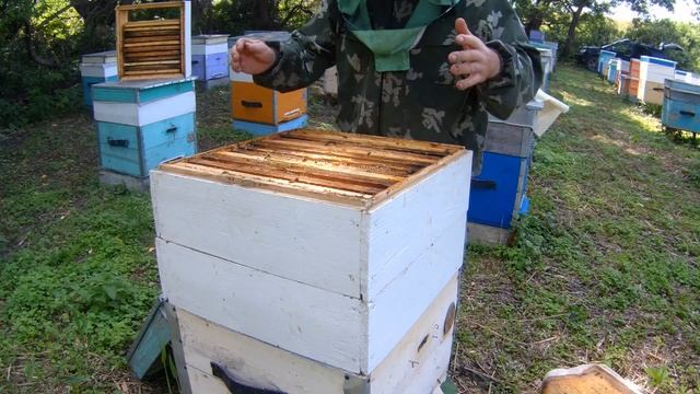 Установка вторых магазинов. Ставим магазины в разрез. смотреть онлайн