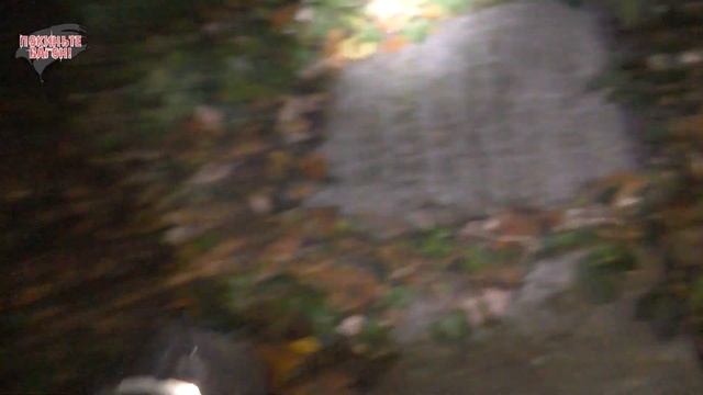 НОЧЬ на КЛАДБИЩЕ сумасшедших в Праге! / ПОКИНЬТЕ ВАГОН смотреть онлайн