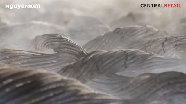 #MC HOÀNG ĐĂNG | #Review Máy giặt Electrolux Inverter 9 Kg EWF9025BQSA | NGUYỄN KIM смотреть онлайн