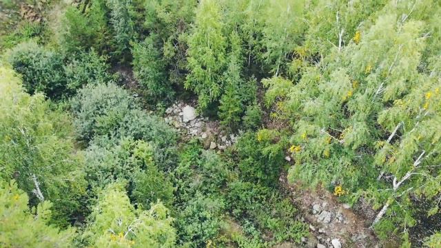 Демаринский водопад смотреть онлайн