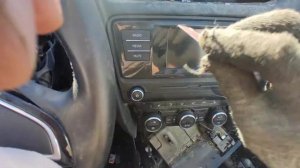 Как снять магнитолу на шкода А7