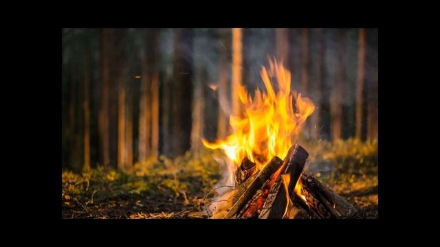 Когда люди научились использовать огонь? смотреть онлайн