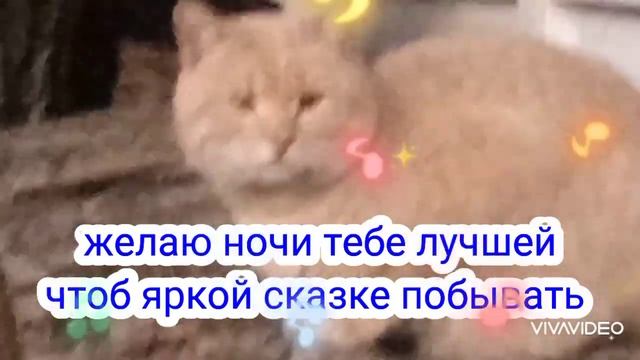 ?Сон, как кот крадётся на подушку. Пожелание спокойной ночи смотреть онлайн