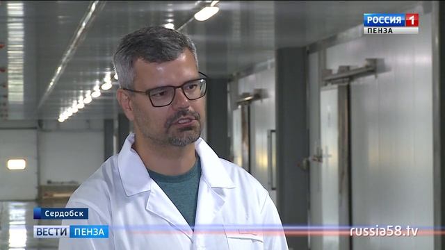 Пензенские шампиньоны займут около 10% российского грибного рынка смотреть онлайн