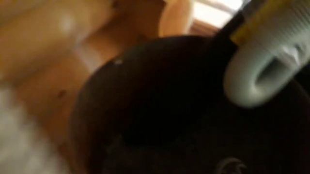 Эковата садовым пылесосом