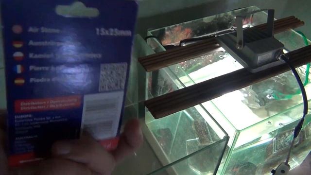 Новая рыбка. Кардинал. Каратаем время смотреть онлайн