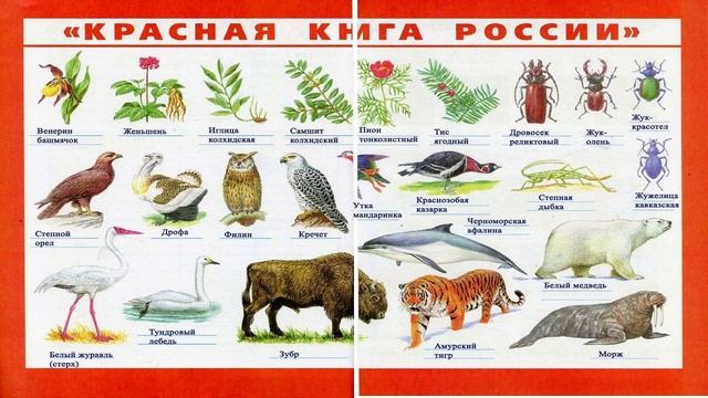 Окружающий мир. Рабочая тетрадь 4 класс 1 часть. ГДЗ стр. 49 №7 смотреть онлайн