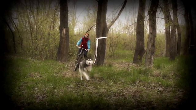 Байкджоринг Музыкальный