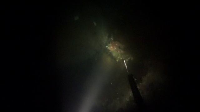 Подводная охота Тихий океан Sony AS50 HD 60fps смотреть онлайн
