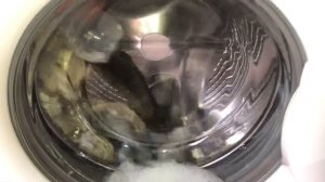 LG WD-10150S/Процесс стирки белого на хлопок 60*