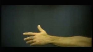 Mario Venuti - Veramente (Video ufficiale)