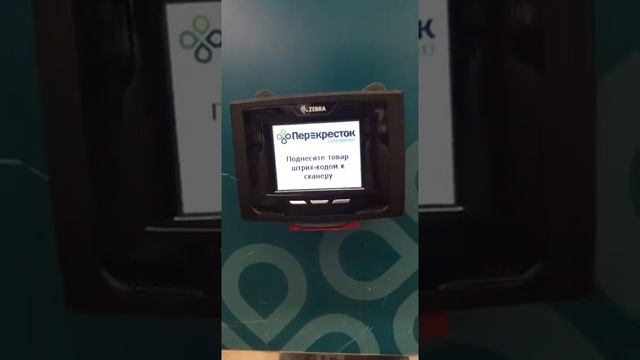 Zebra MK500 в магазине "Перекресток", г.Геленджик смотреть онлайн