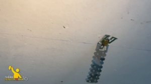 Как вытащить анкер клин? Дюбель клин.