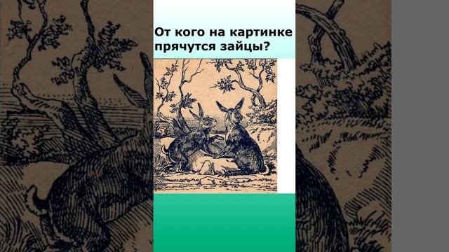 От кого прячутся зайцы? смотреть онлайн