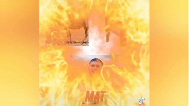 СБОРНИК МЕМОВ (АСХАБ ТАМАЕВ)