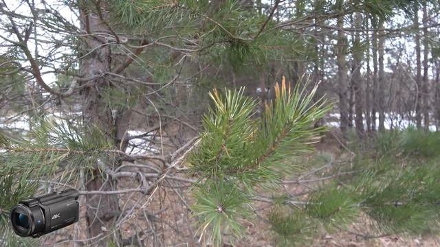 Сравнение камер Go Pro 5 Blac 4K Vs Sony FDR AX-53 4K.