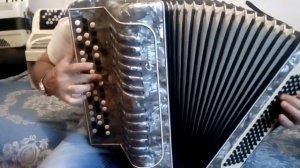 Матаня на баяне