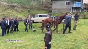 В селе Бежта отметили праздник первой борозды