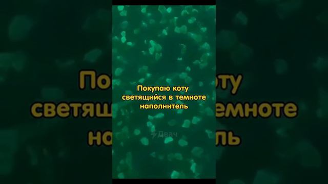 Светящийся наполнитель смотреть онлайн