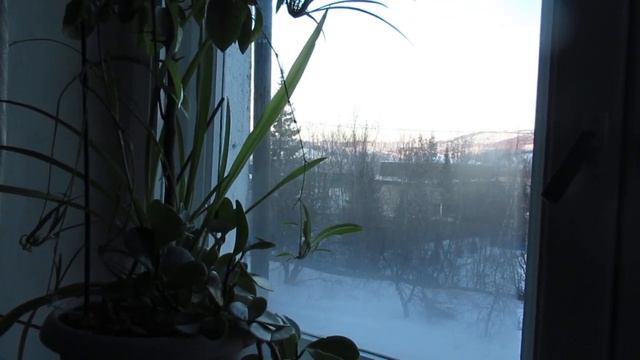 Мне дай бы Бог... смотреть онлайн