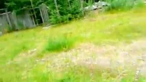 Карелия. Заброшенная застава . «Вента»