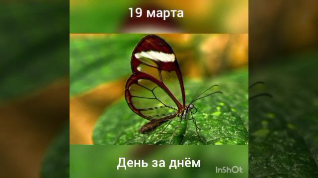19 марта. День за днëм смотреть онлайн
