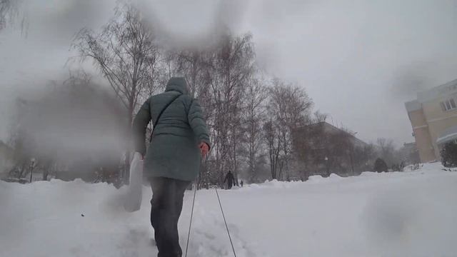 Катаемся на санках Видео для детей смотреть онлайн