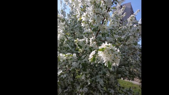 Чудеса вокруг нас смотреть онлайн