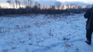 Охота в Забайкалье с Барс 4-1 223rem на лисицу.