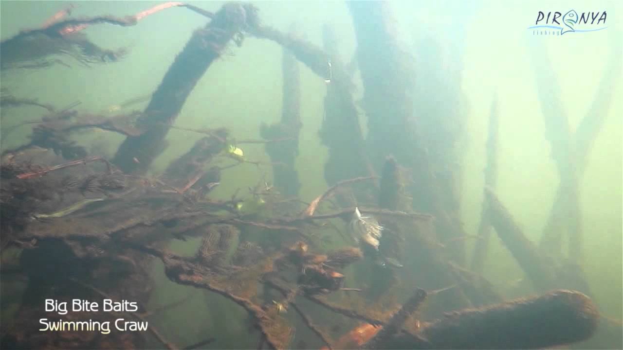 Big Bite Baits Swimming Craw In Action Underwater (под водой)