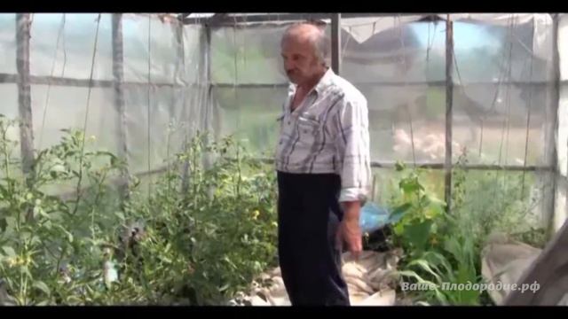 Томатное изобилие. От семечка до урожая смотреть онлайн