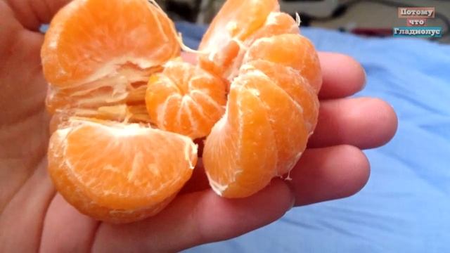 ЧТО БУДЕТ, ЕСЛИ СЪЕСТЬ МНОГО МАНДАРИНОВ смотреть онлайн