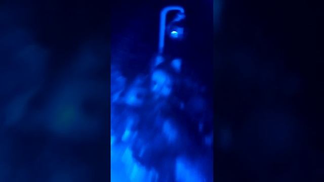 Ночной клуб лпс,лол,королевские питомцы. смотреть онлайн