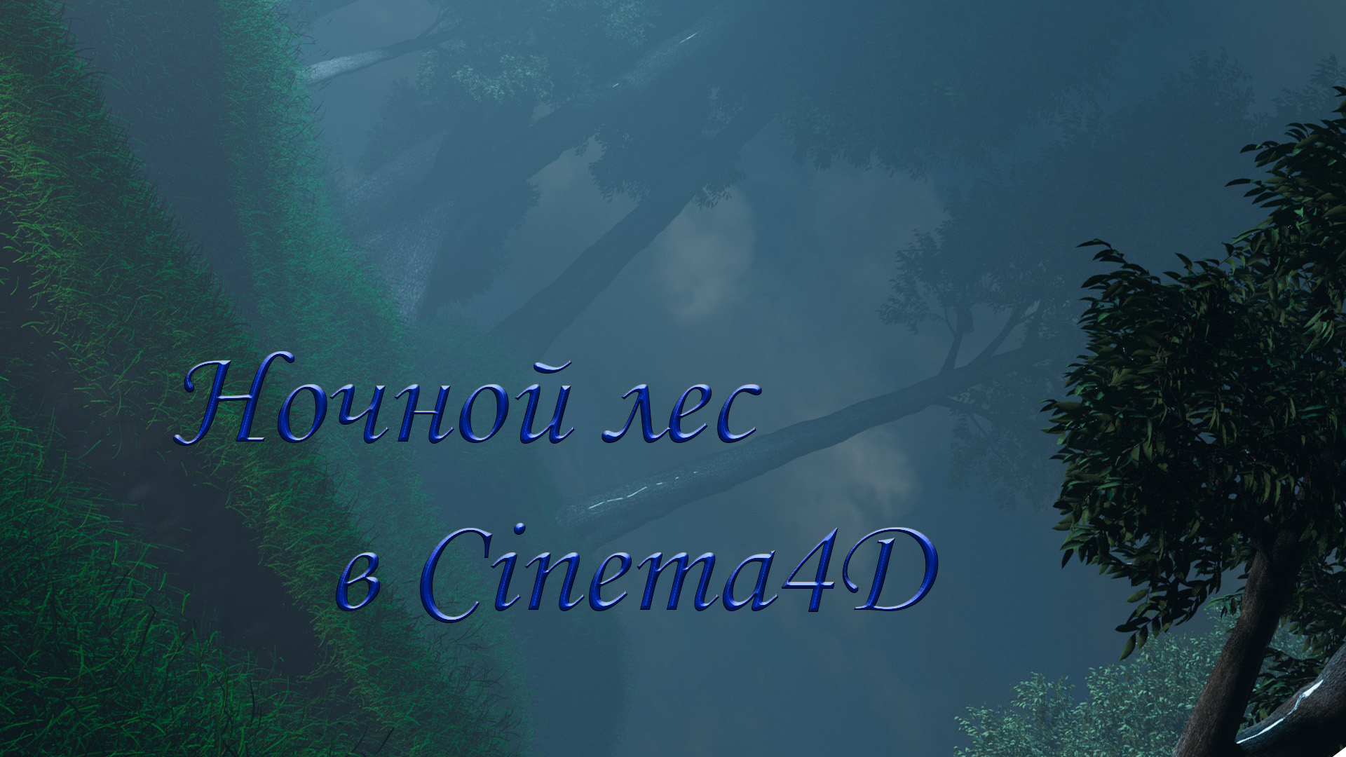 Ночной лес в Cinema4D