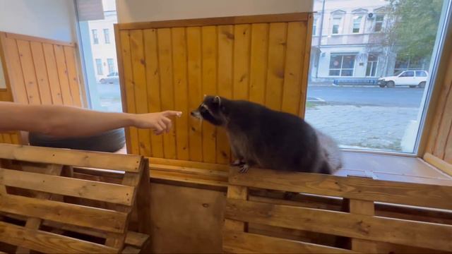 Енотий рай смотреть онлайн