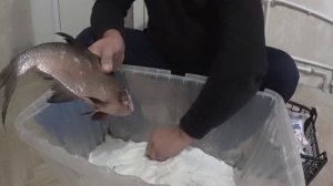 Лещ СУХОГО ПОСОЛА! САМЫЙ ПРОСТОЙ РЕЦЕПТ ПРИГОТОВЛЕНИЯ РЫБЫ СУХИМ ПОСОЛОМ, ПОЛУЧАЕТСЯ ОЧЕНЬ ВКУСНО!