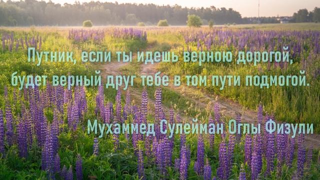 ДОРОГИ, ЦИТАТЫ И АФОРИЗМЫ.ВЫБЕРИ СВОЙ ПУТЬ. смотреть онлайн