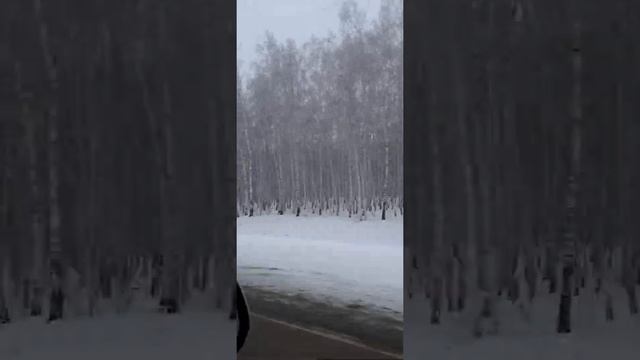 трасса Астана - Омск. 28.02.22 смотреть онлайн