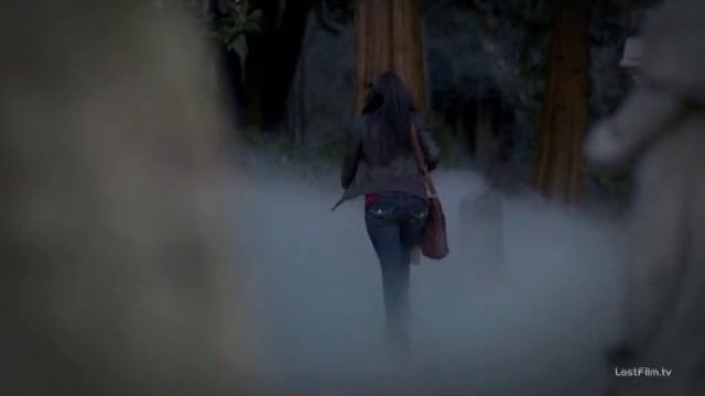 дневники вампира-страшилка для Елены.avi смотреть онлайн