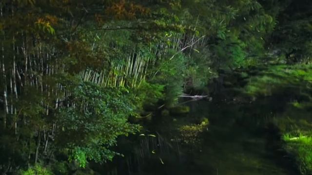 Top 10 AMAZING FACTS About CANADA смотреть онлайн