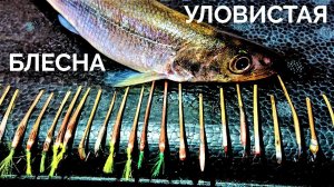 Тестирую блесны разных производителей. Самая ловчая блесна! Хорошая рыбалка!
